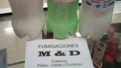 Veterinarios denuncian muerte de perros por “garrapaticida” ilegal en Puerto Madryn - El Diario de Madryn