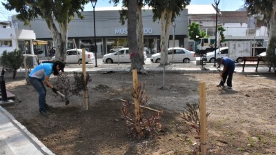 Sastre inaugurará en diciembre la remodelación de la plaza San Martín - El Diario de Madryn